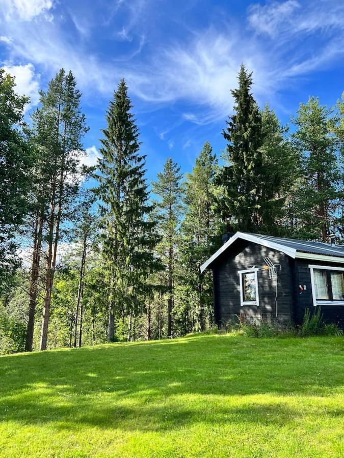 Gemuetliches Blockhaus Im Wald Villa Auktsjaur Dış mekan fotoğraf