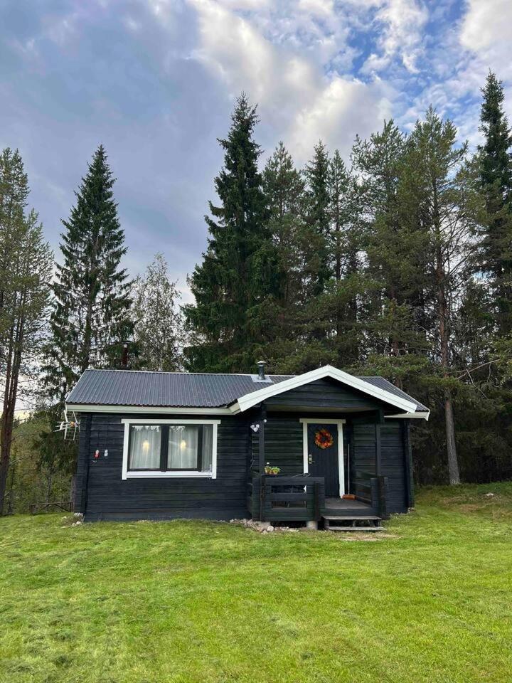 Gemuetliches Blockhaus Im Wald Villa Auktsjaur Dış mekan fotoğraf
